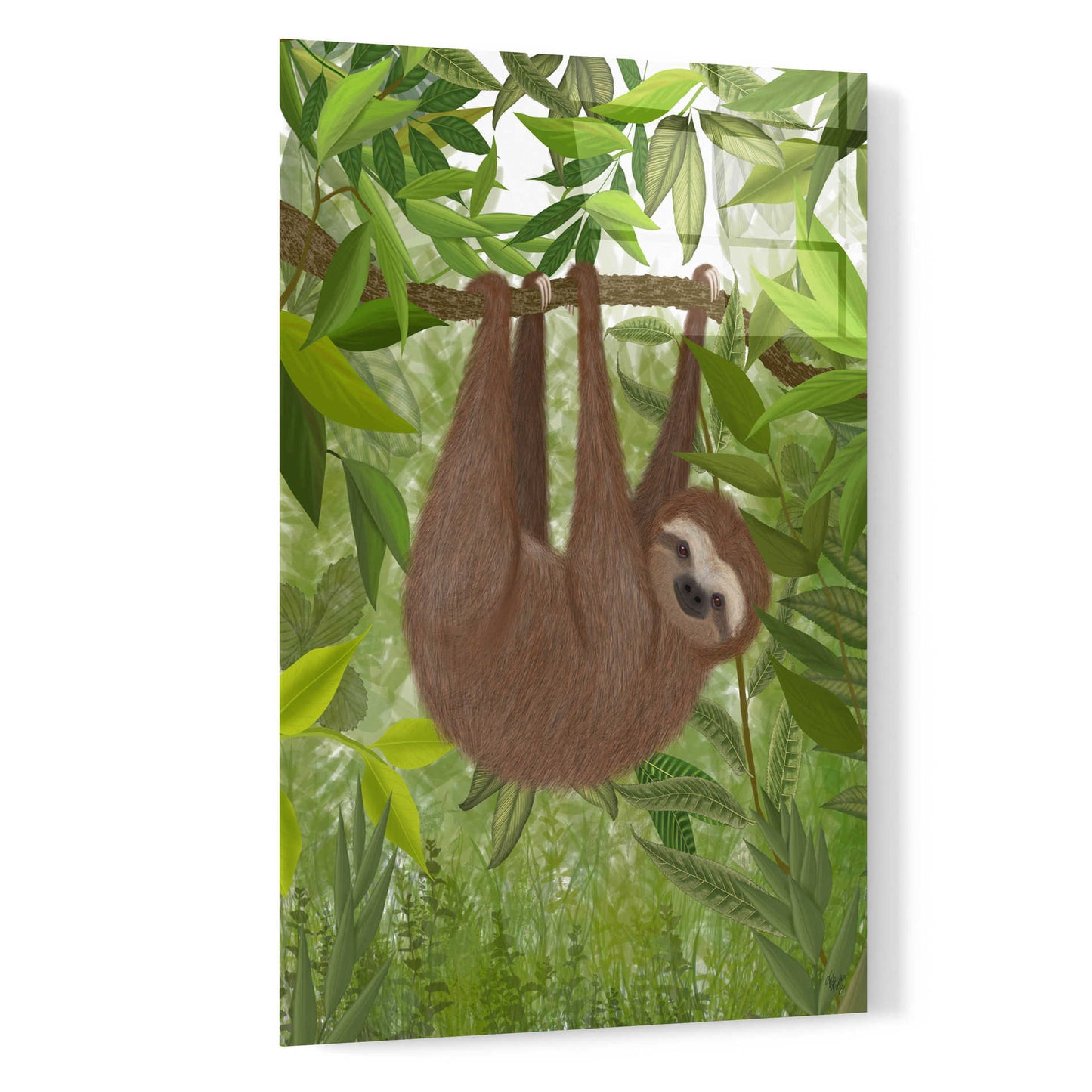 Epic Art 'Sloth Hanging Around' by Fab Funky, Acrylic Glass Wall Art,16x24