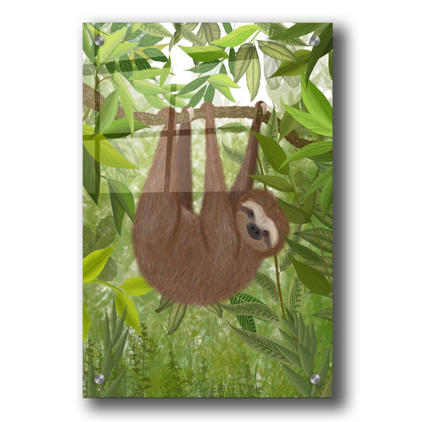 Epic Art 'Sloth Hanging Around' by Fab Funky, Acrylic Glass Wall Art,24x36