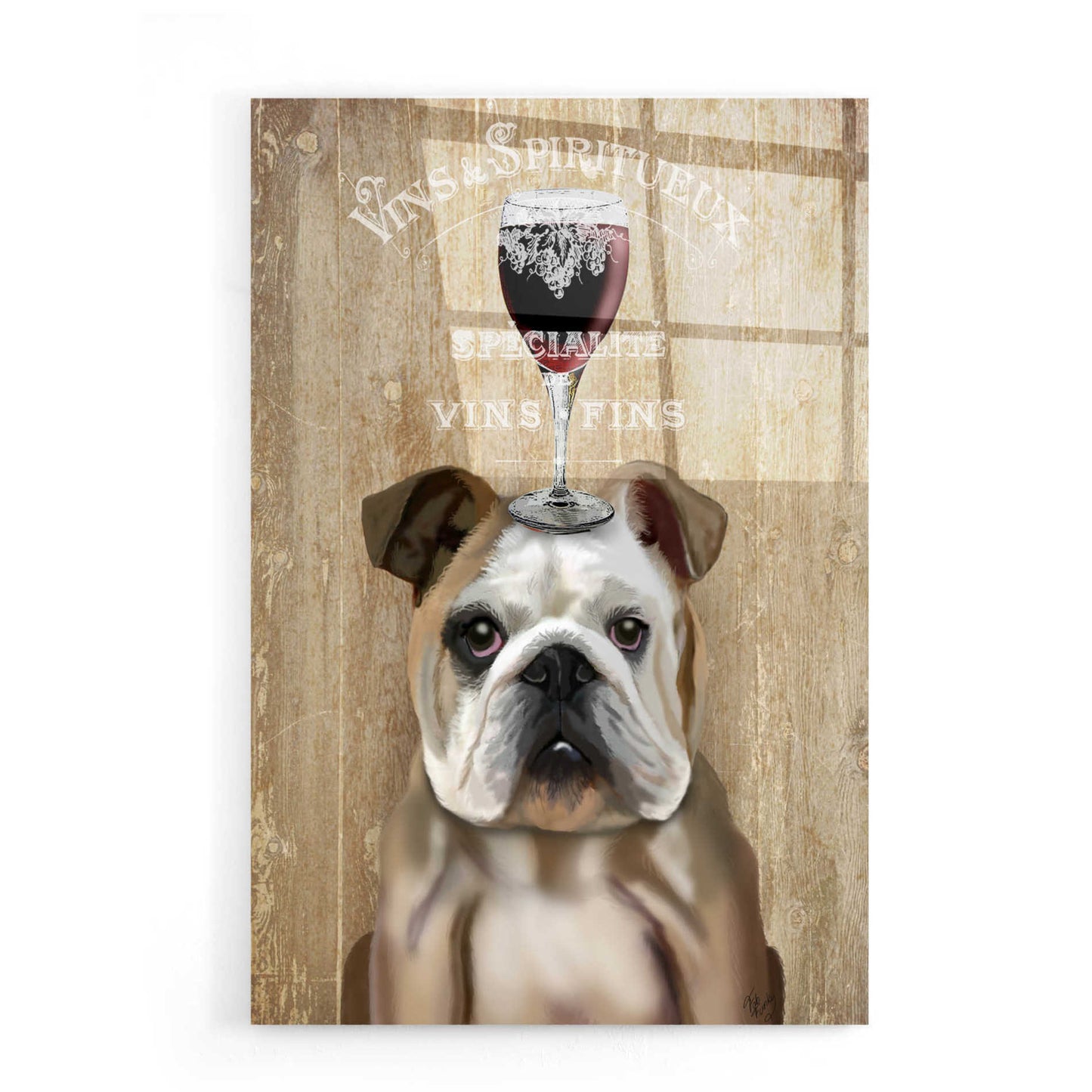 Epic Art 'Dog Au Vin, English Bulldog' by Fab Funky, Acrylic Glass Wall Art,16x24