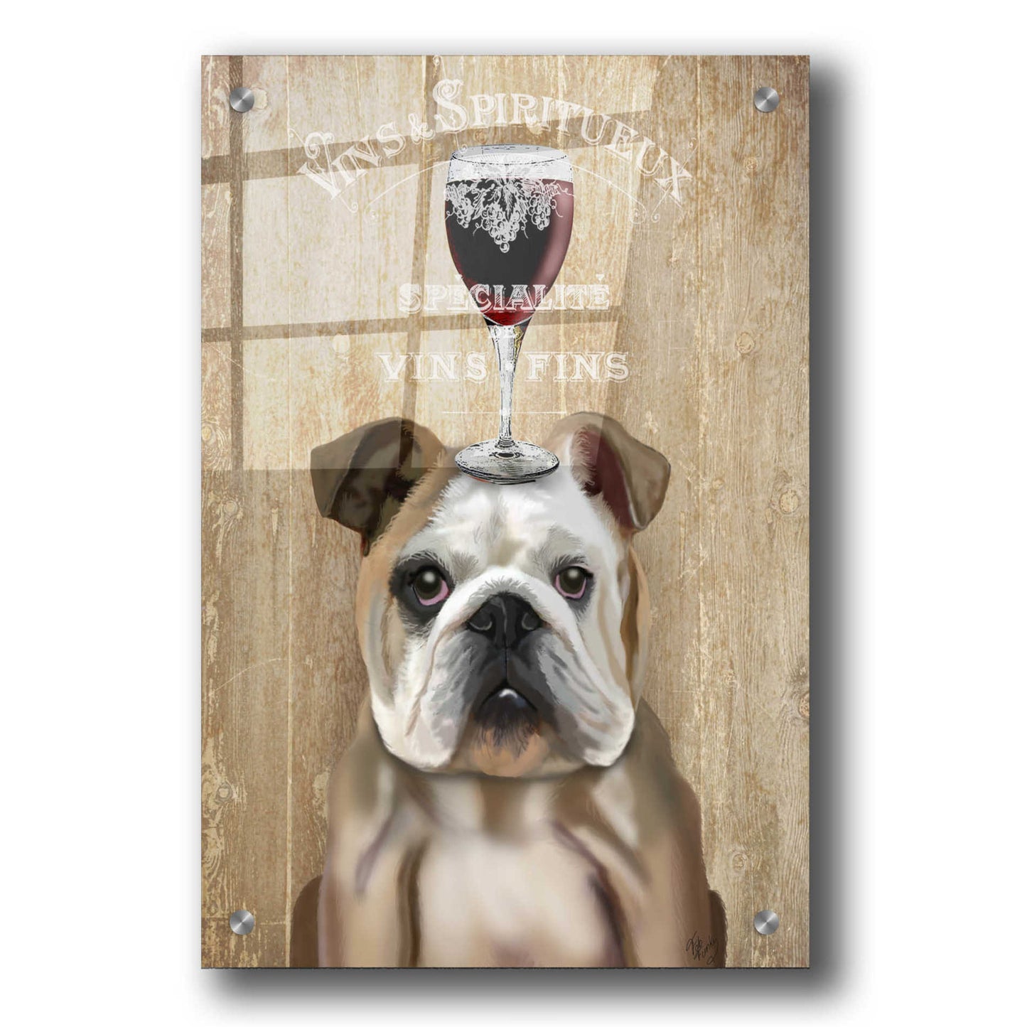 Epic Art 'Dog Au Vin, English Bulldog' by Fab Funky, Acrylic Glass Wall Art,24x36