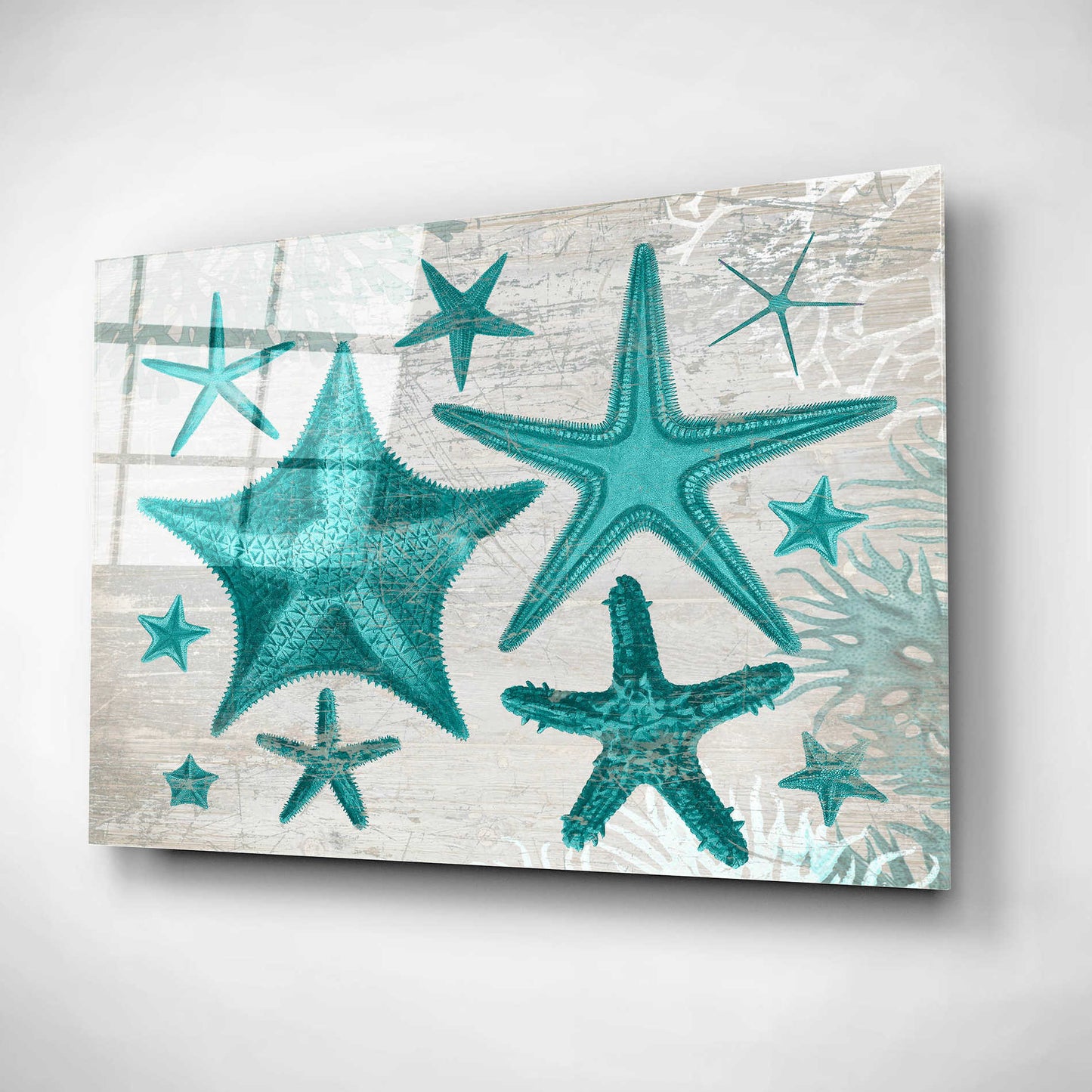Epic Art 'Green Starfish Collection' by Fab Funky, Acrylic Glass Wall Art,24x16