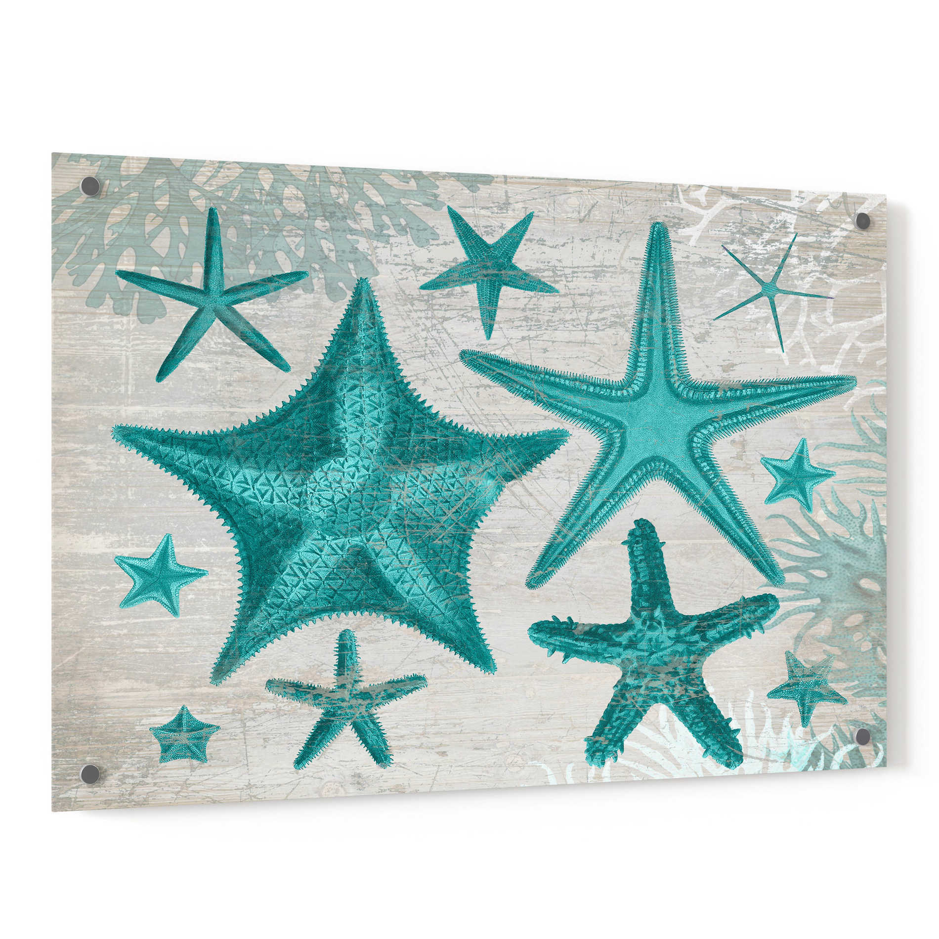 Epic Art 'Green Starfish Collection' by Fab Funky, Acrylic Glass Wall Art,36x24