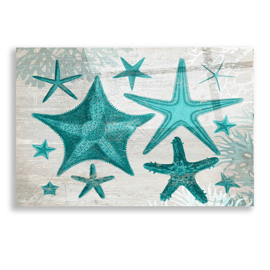 Epic Art 'Green Starfish Collection' by Fab Funky, Acrylic Glass Wall Art