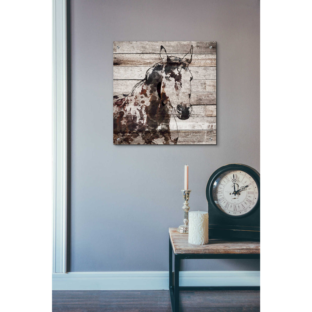 Epic Art 'Poly 2' by Irena Orlov, Acrylic Glass Wall Art,24x24