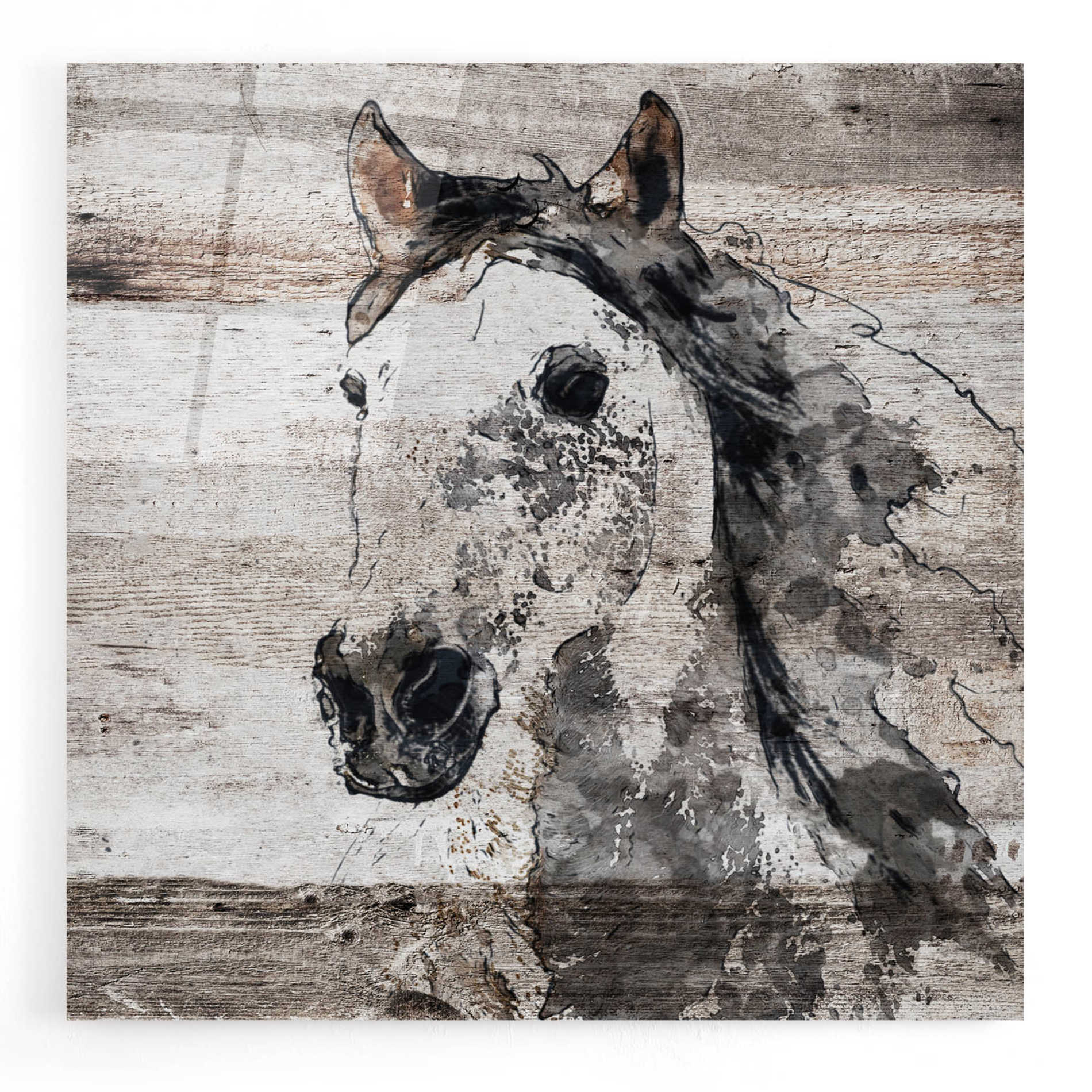 Epic Art 'Sparkle horse 4' by Irena Orlov, Acrylic Glass Wall Art,12x12