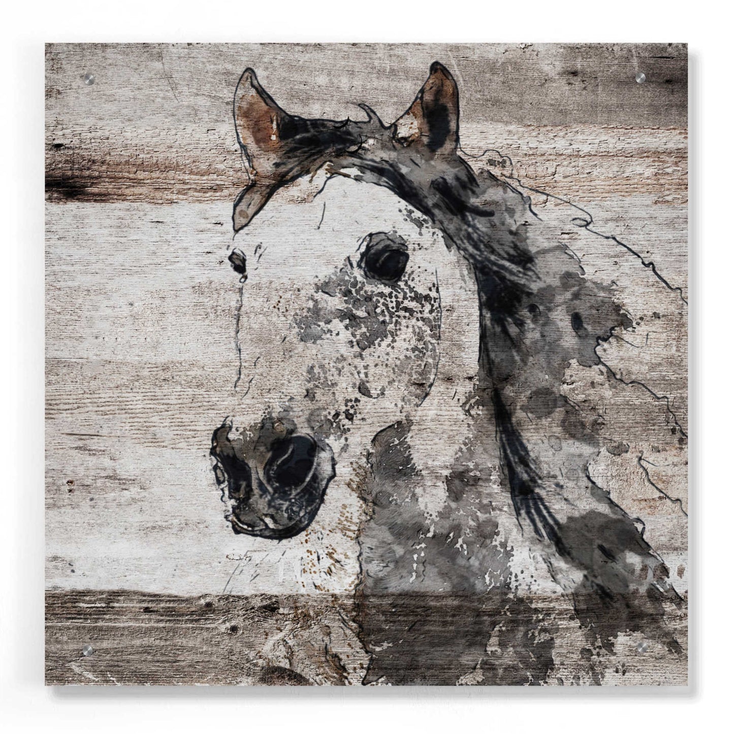 Epic Art 'Sparkle horse 4' by Irena Orlov, Acrylic Glass Wall Art,24x24