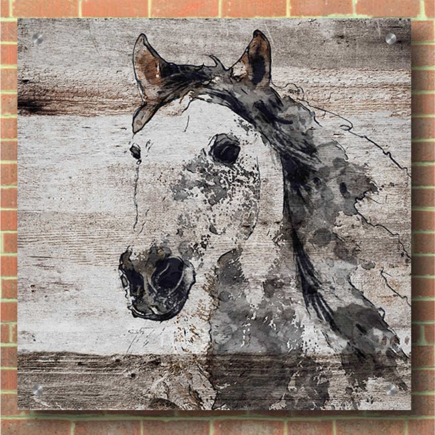 Epic Art 'Sparkle horse 4' by Irena Orlov, Acrylic Glass Wall Art,36x36