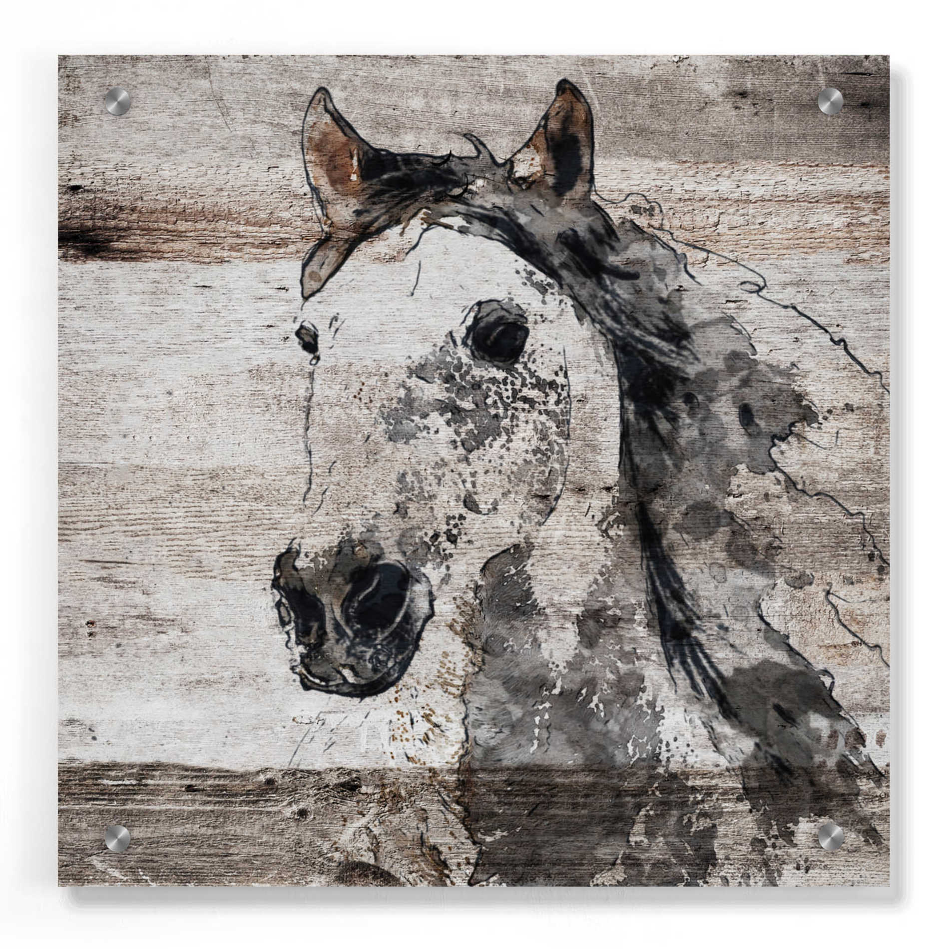 Epic Art 'Sparkle horse 4' by Irena Orlov, Acrylic Glass Wall Art,36x36