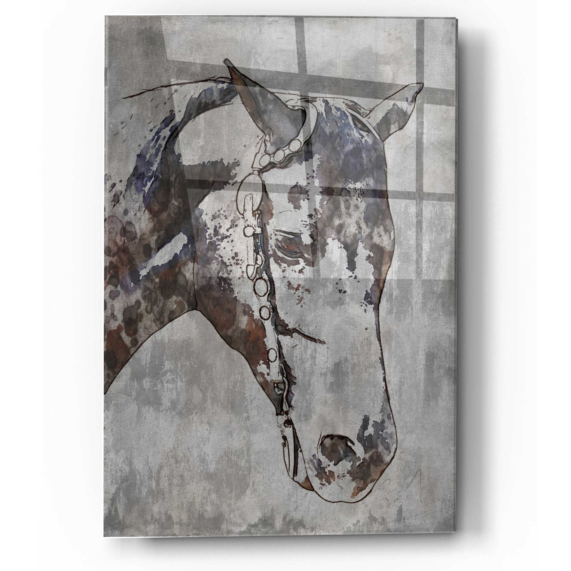 Epic Art 'Morgan Horse- Black Beauty 6' by Irena Orlov, Acrylic Glass Wall Art,12x16