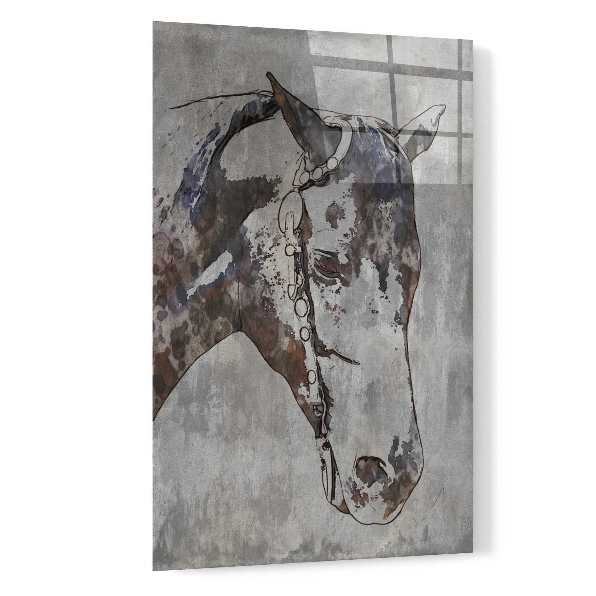 Epic Art 'Morgan Horse- Black Beauty 6' by Irena Orlov, Acrylic Glass Wall Art,16x24