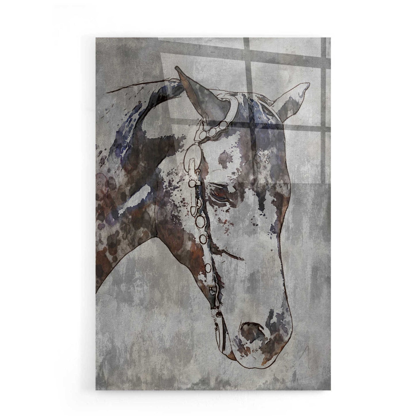 Epic Art 'Morgan Horse- Black Beauty 6' by Irena Orlov, Acrylic Glass Wall Art,16x24