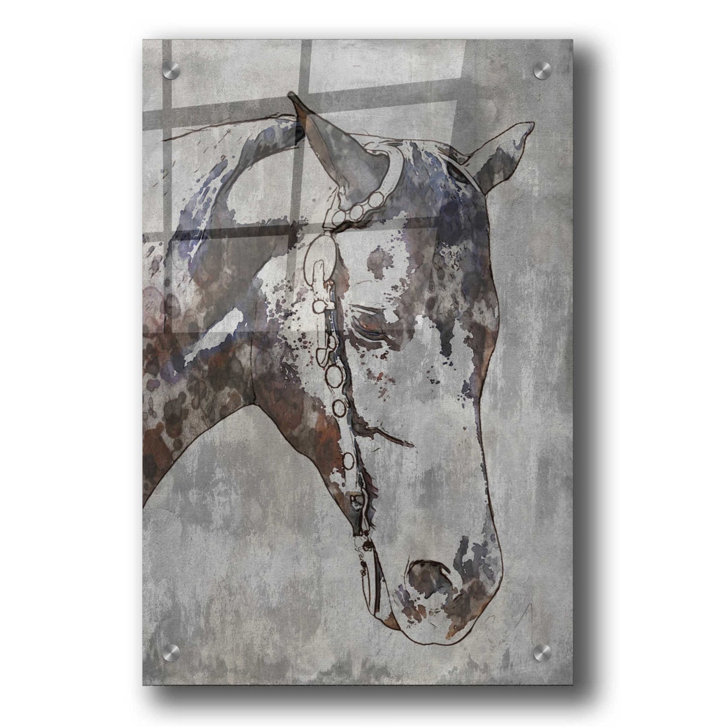 Epic Art 'Morgan Horse- Black Beauty 6' by Irena Orlov, Acrylic Glass Wall Art,24x36