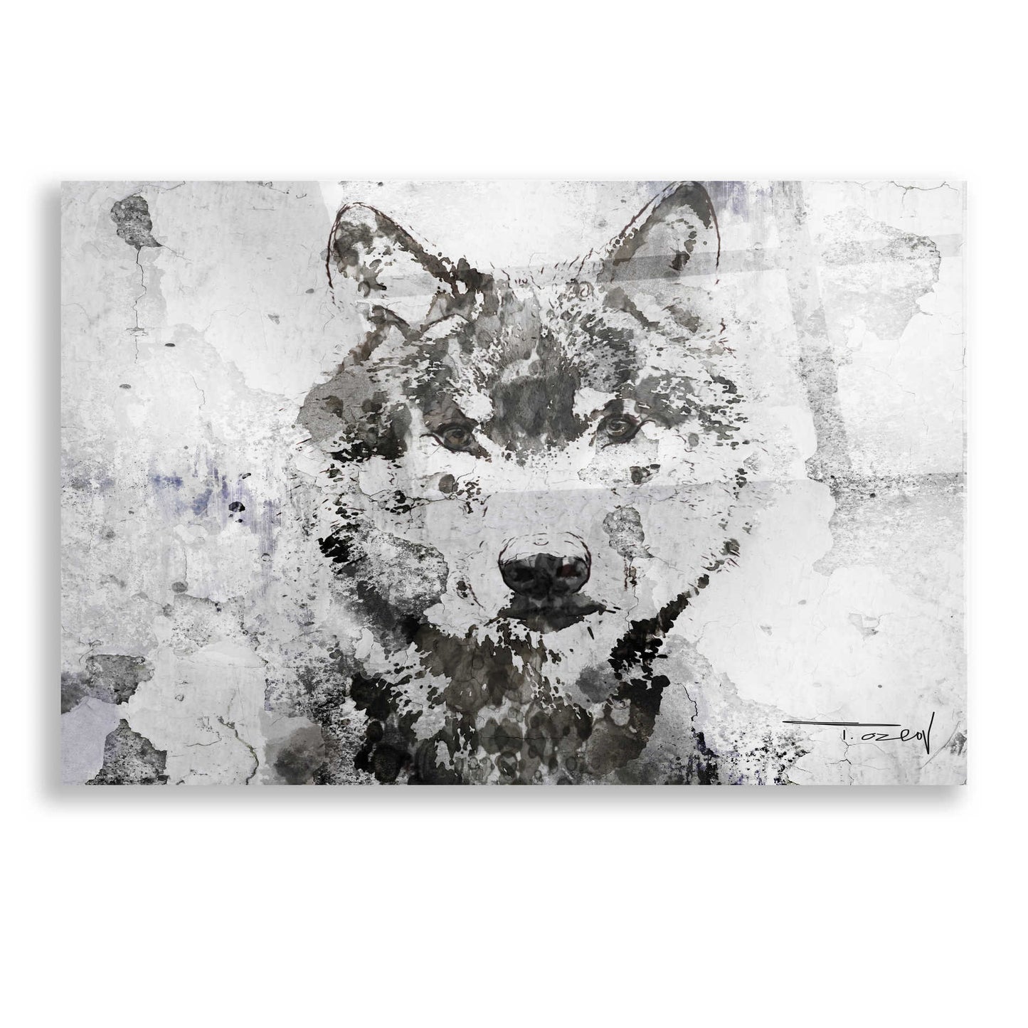 Epic Art 'Rustic Wolf Portrait 3 copy' by Irena Orlov, Acrylic Glass Wall Art,16x12