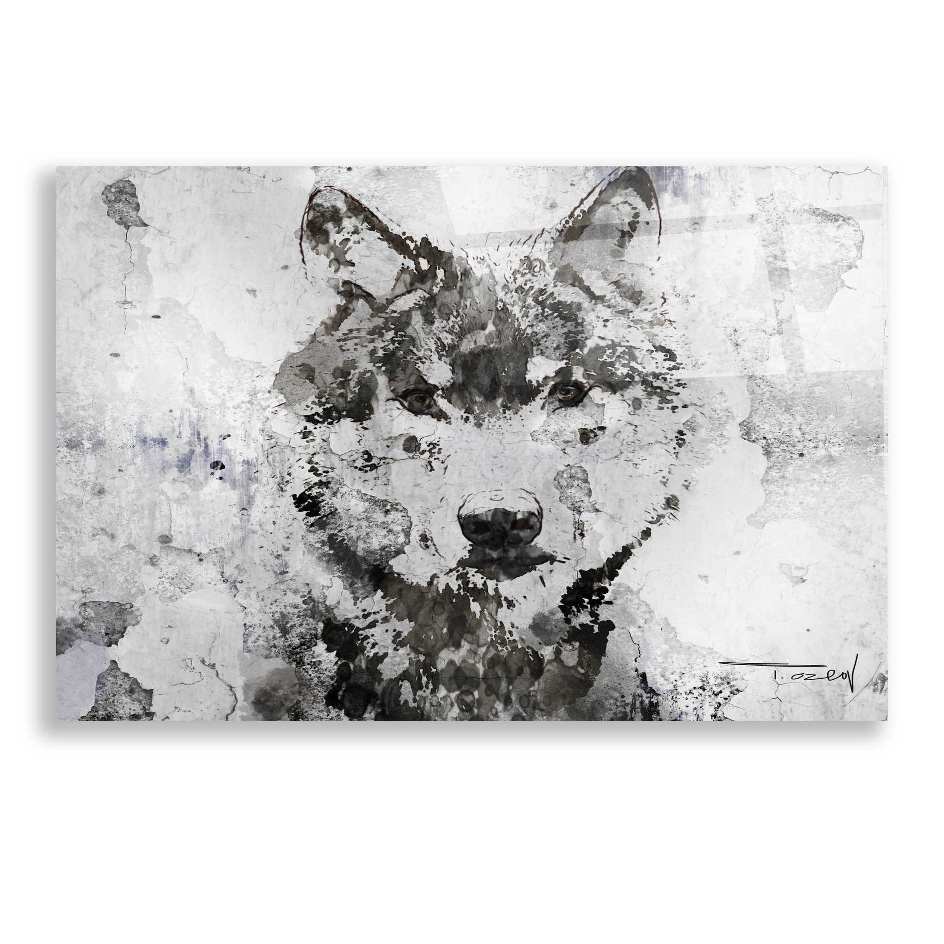 Epic Art 'Rustic Wolf Portrait 3 copy' by Irena Orlov, Acrylic Glass Wall Art,24x16