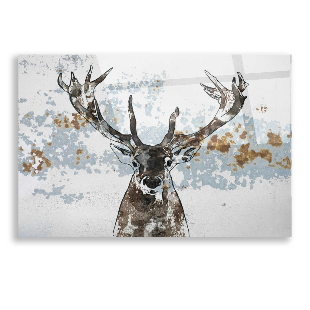 Epic Art 'Elk' by Irena Orlov, Acrylic Glass Wall Art