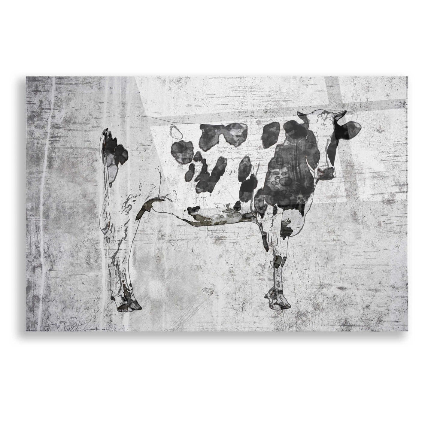 Epic Art 'Rustic cow' by Irena Orlov, Acrylic Glass Wall Art,16x12