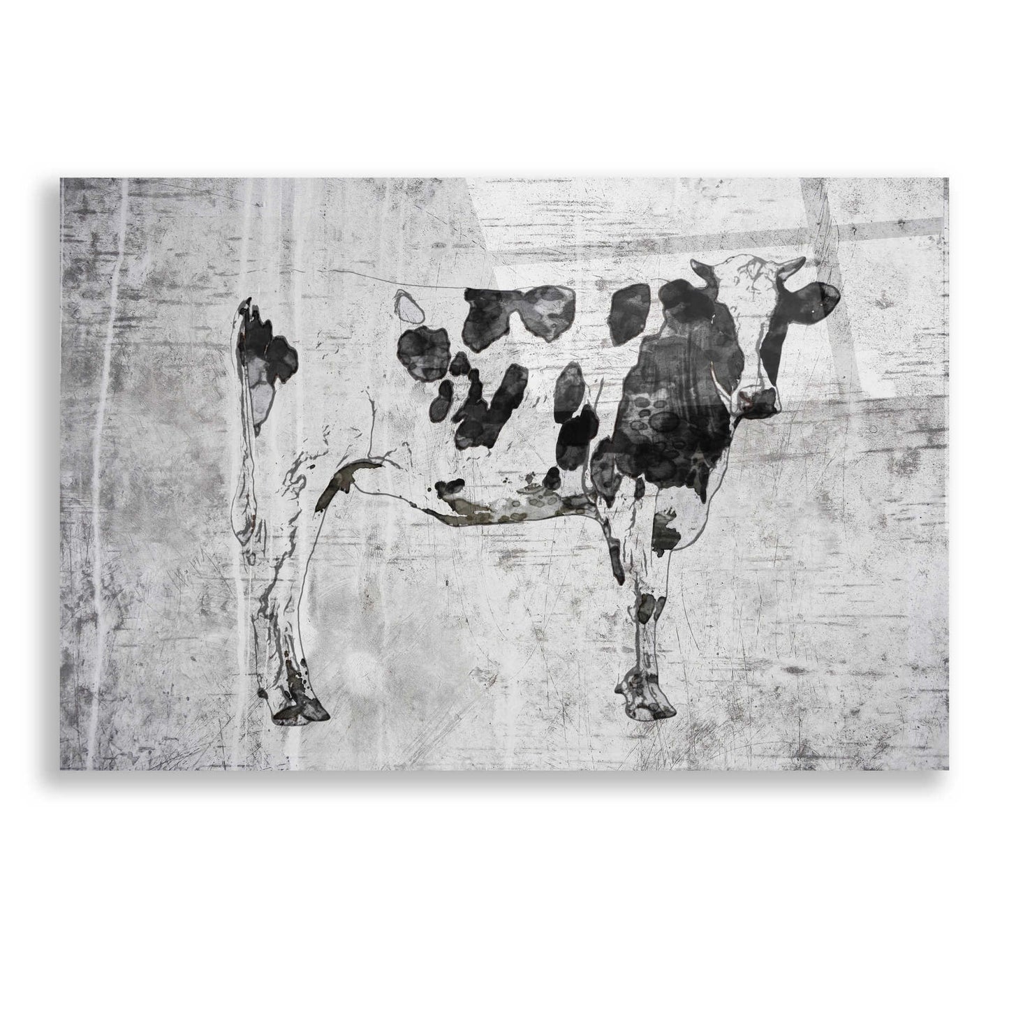 Epic Art 'Rustic cow' by Irena Orlov, Acrylic Glass Wall Art,24x16