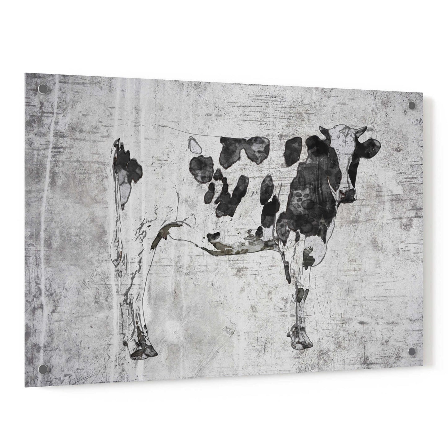 Epic Art 'Rustic cow' by Irena Orlov, Acrylic Glass Wall Art,36x24