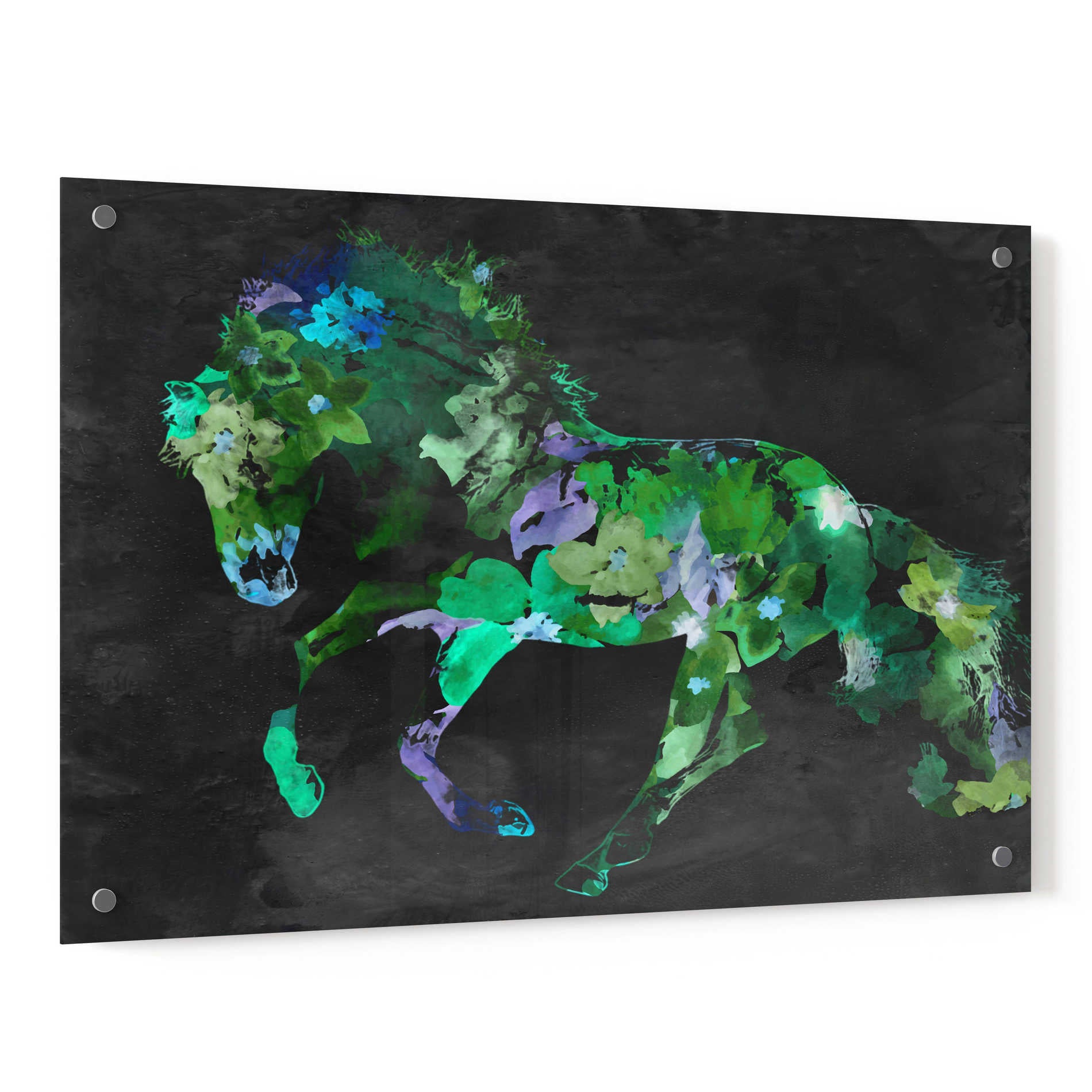 Epic Art 'Beautiful Floral Horse 2-3' by Irena Orlov, Acrylic Glass Wall Art,36x24