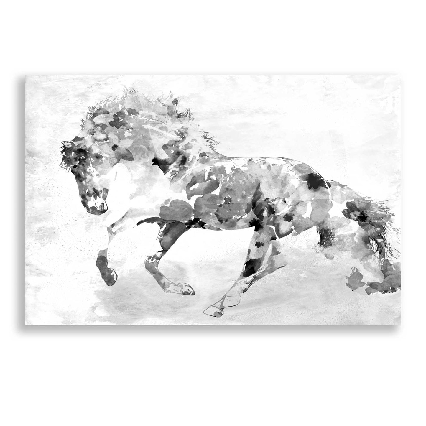 Epic Art 'Beautiful Floral Horse 1-4' by Irena Orlov, Acrylic Glass Wall Art,16x12