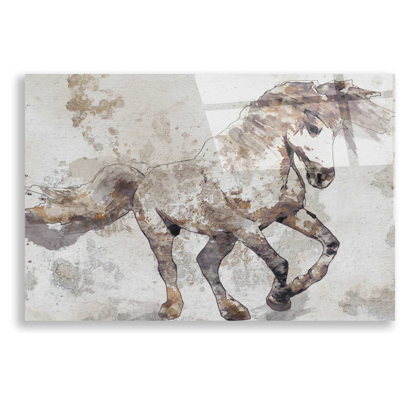Epic Art 'Bebeau Horse 2' by Irena Orlov, Acrylic Glass Wall Art,24x16