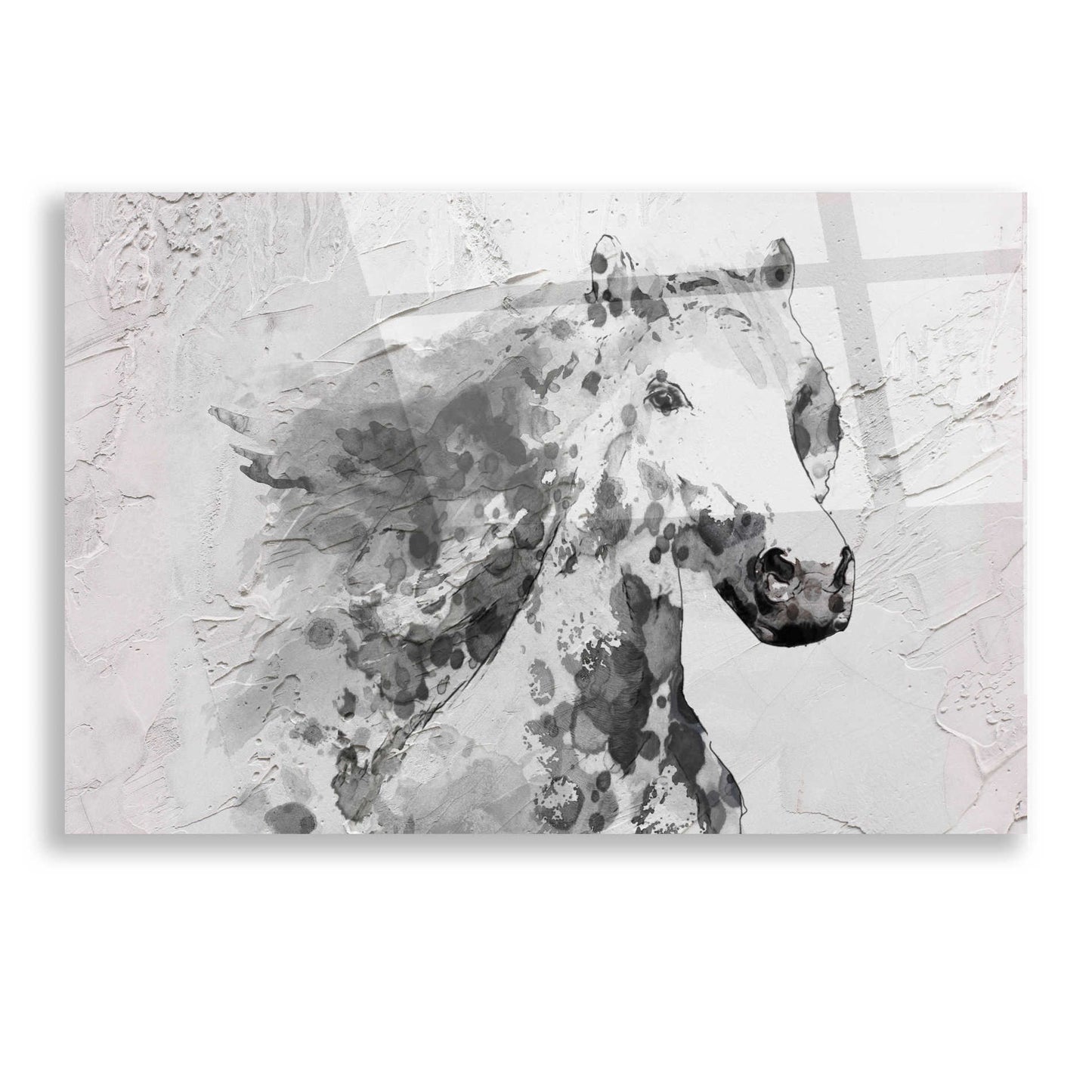 Epic Art 'White Stallion 1' by Irena Orlov, Acrylic Glass Wall Art,16x12