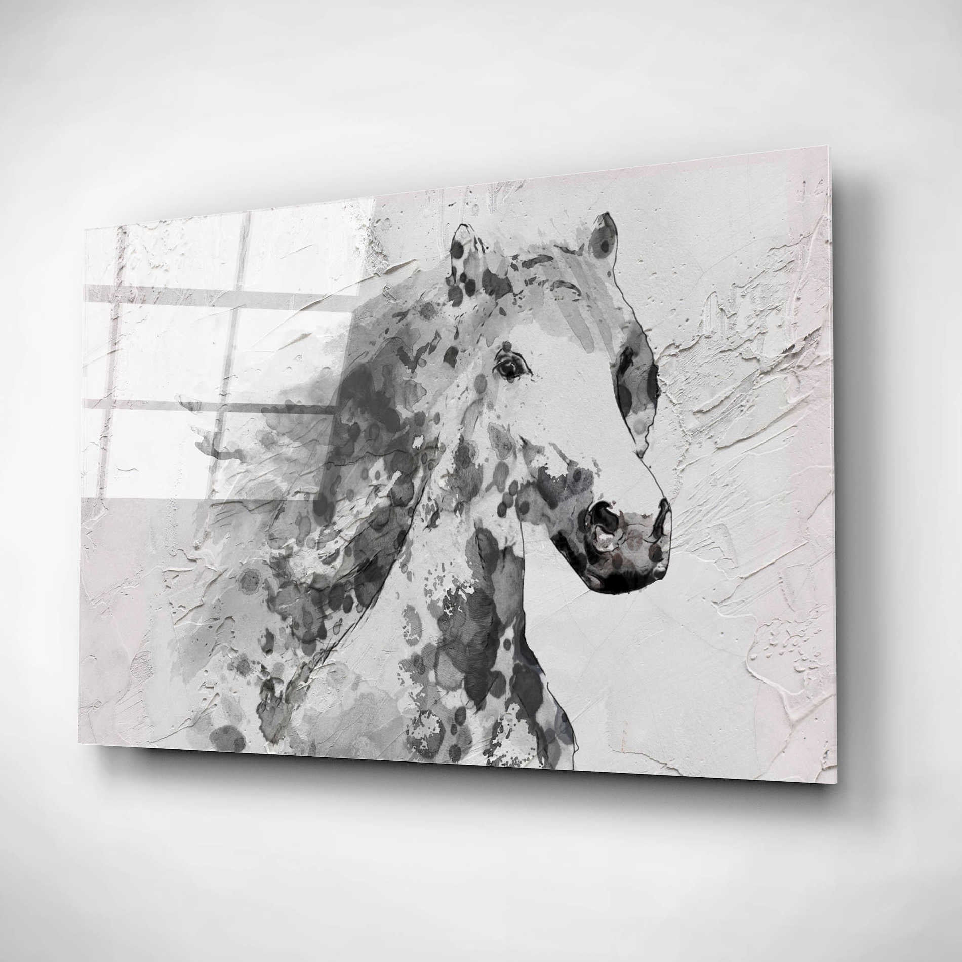 Epic Art 'White Stallion 1' by Irena Orlov, Acrylic Glass Wall Art,24x16