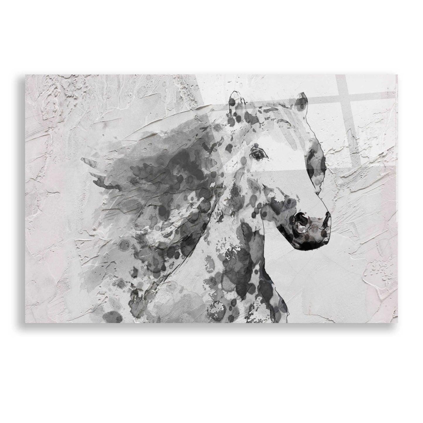Epic Art 'White Stallion 1' by Irena Orlov, Acrylic Glass Wall Art,24x16