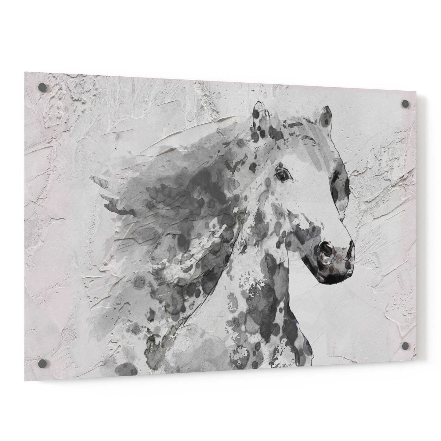 Epic Art 'White Stallion 1' by Irena Orlov, Acrylic Glass Wall Art,36x24