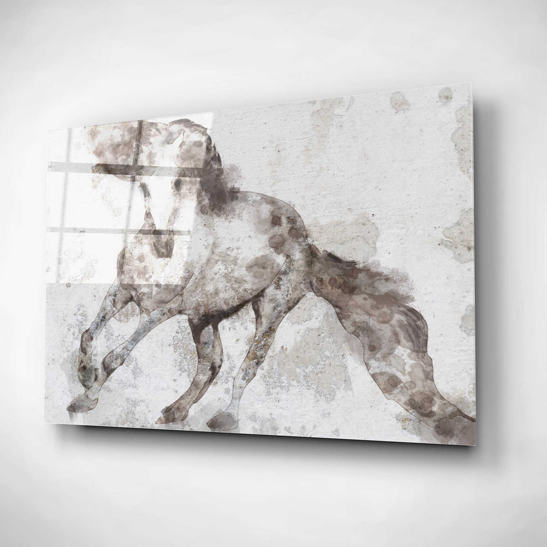 Epic Art 'Alydar Horse' by Irena Orlov, Acrylic Glass Wall Art,24x16