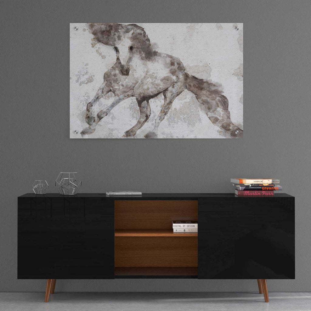 Epic Art 'Alydar Horse' by Irena Orlov, Acrylic Glass Wall Art,36x24