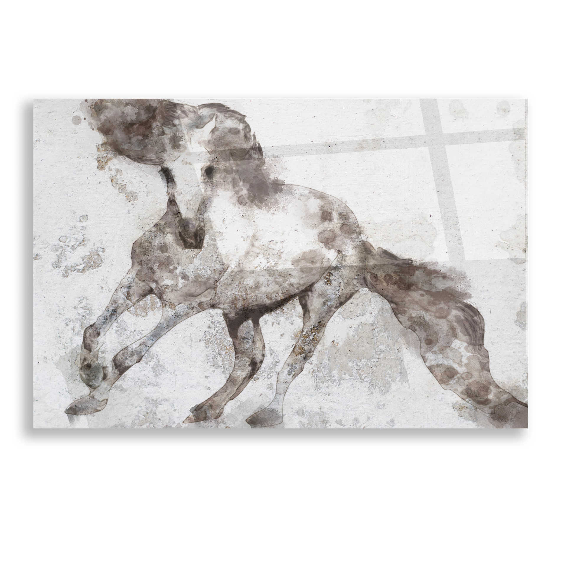 Epic Art 'Alydar Horse' by Irena Orlov, Acrylic Glass Wall Art