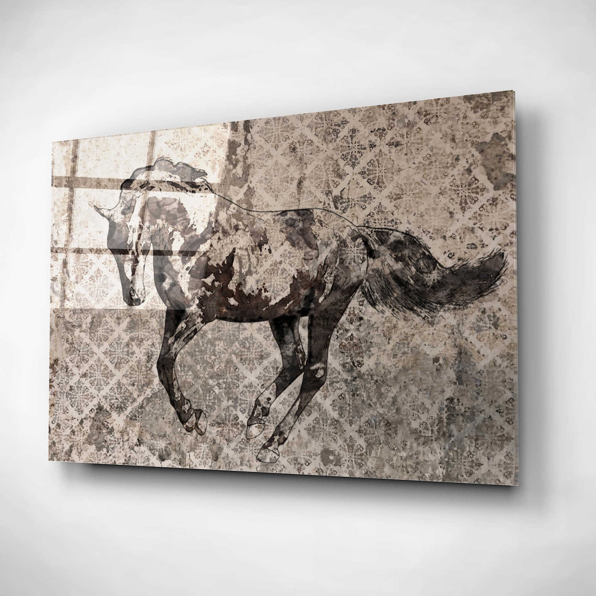 Epic Art 'Paso Fino 1' by Irena Orlov, Acrylic Glass Wall Art,16x12