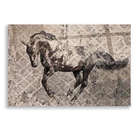 Epic Art 'Paso Fino 1' by Irena Orlov, Acrylic Glass Wall Art