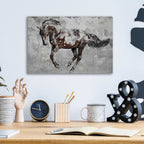 Epic Art 'Paso Fino 2' by Irena Orlov, Acrylic Glass Wall Art,16x12