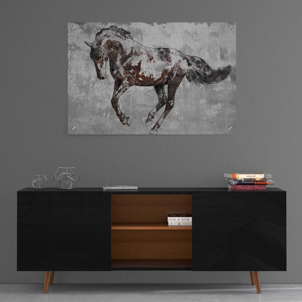 Epic Art 'Paso Fino 2' by Irena Orlov, Acrylic Glass Wall Art,36x24