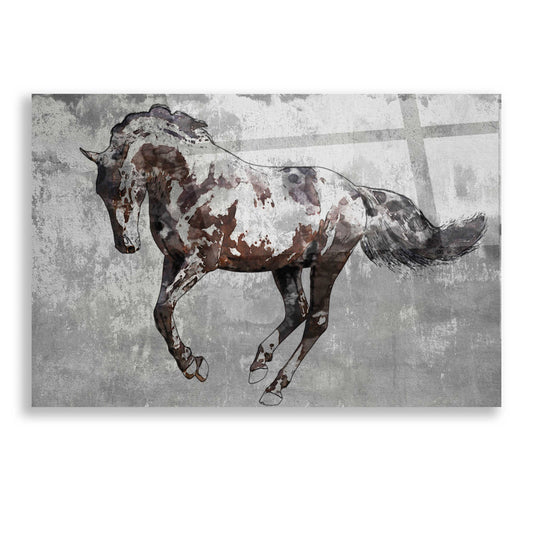 Epic Art 'Paso Fino 2' by Irena Orlov, Acrylic Glass Wall Art