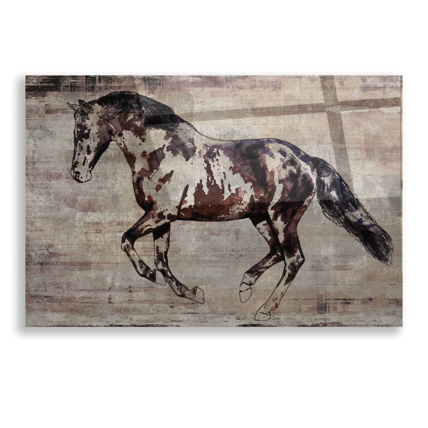 Epic Art 'Trakehner Horse 2' by Irena Orlov, Acrylic Glass Wall Art,16x12