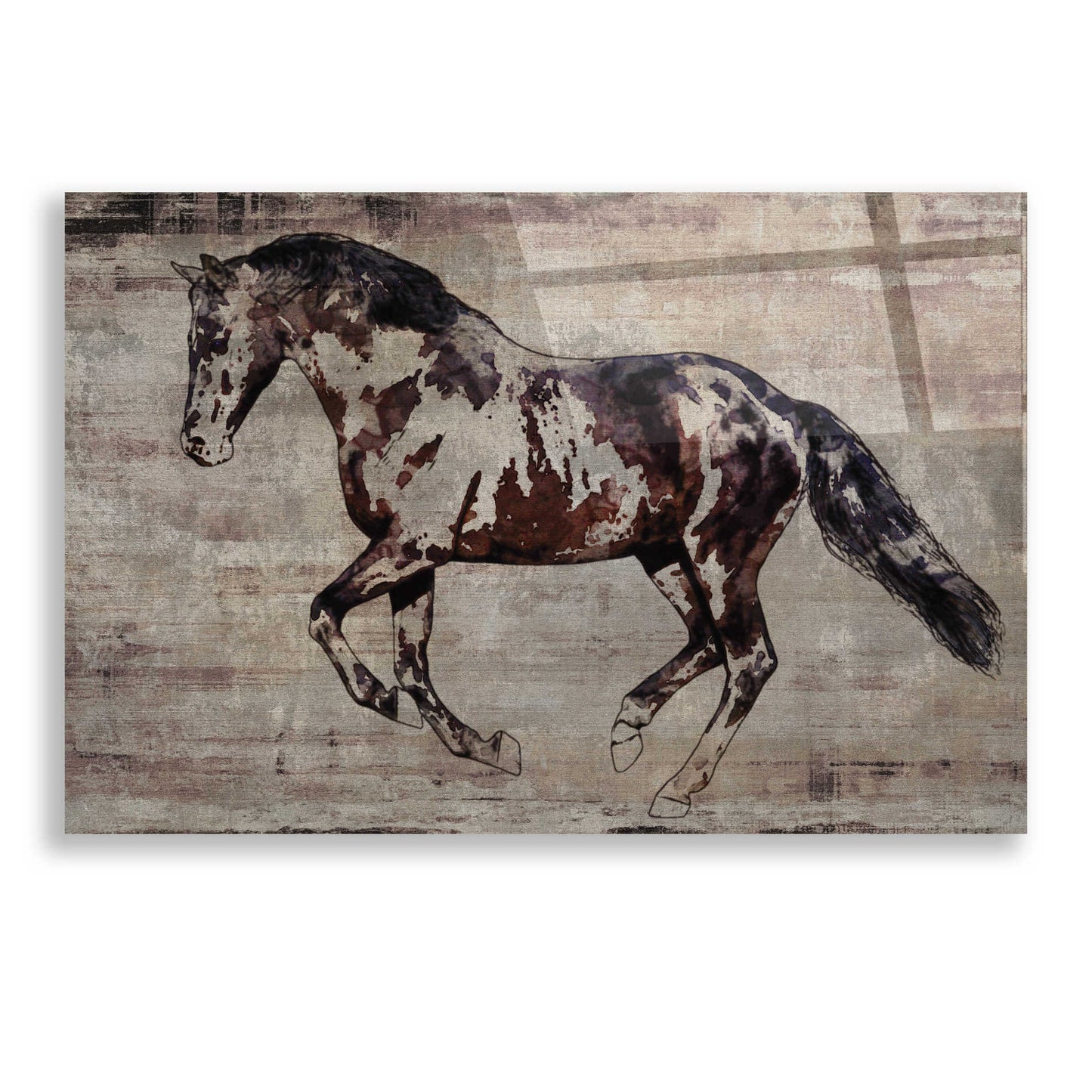 Epic Art 'Trakehner Horse 2' by Irena Orlov, Acrylic Glass Wall Art,24x16