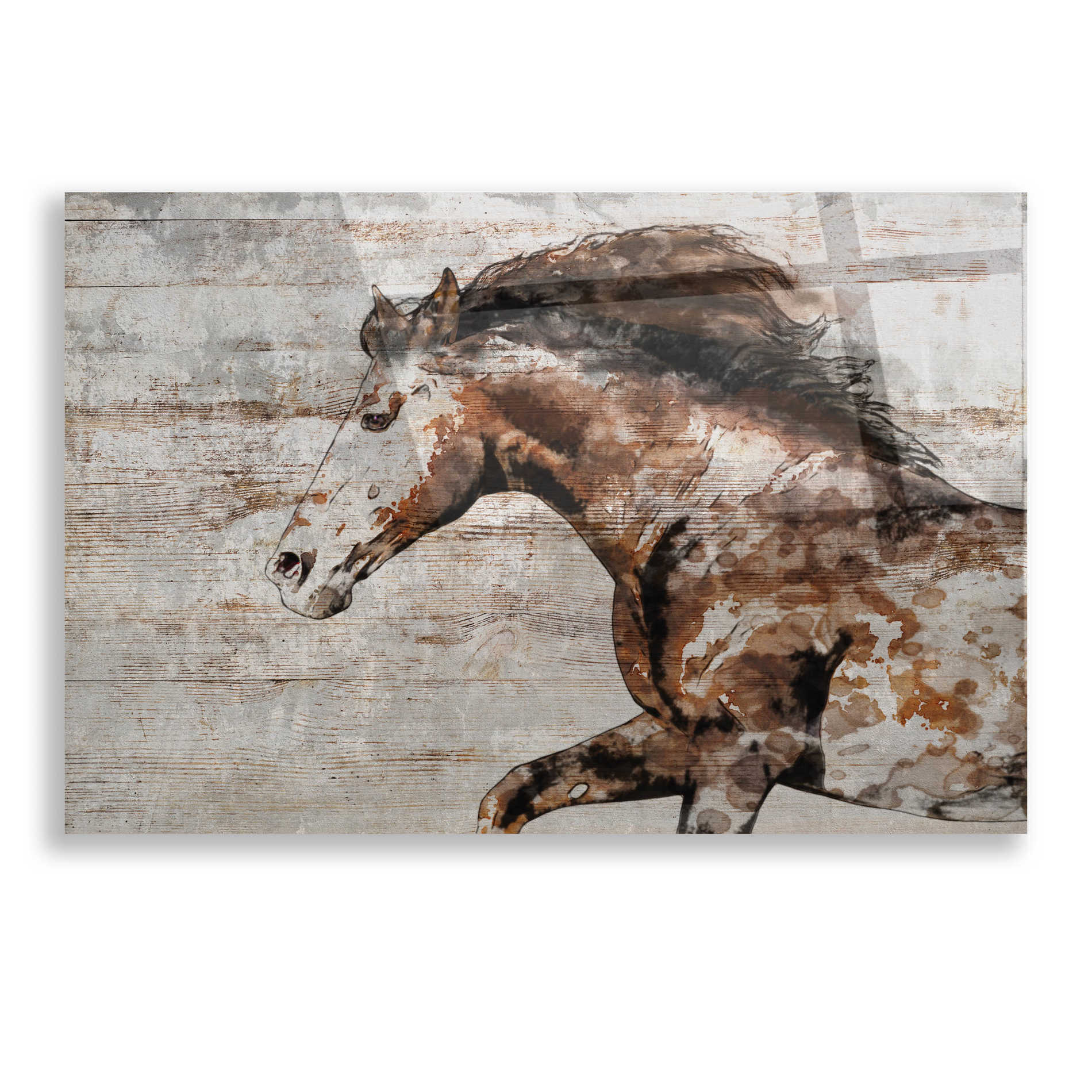 Epic Art 'WILD HORSE RUNNING 4' by Irena Orlov, Acrylic Glass Wall Art,16x12