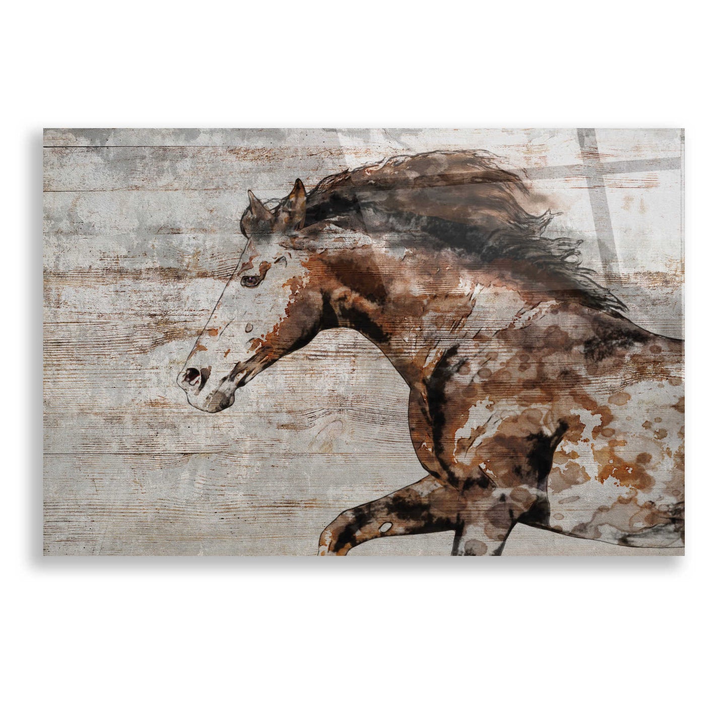 Epic Art 'WILD HORSE RUNNING 4' by Irena Orlov, Acrylic Glass Wall Art,24x16