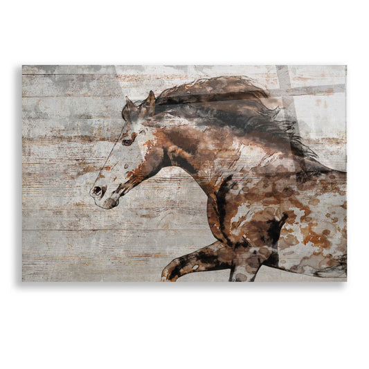 Epic Art 'WILD HORSE RUNNING 4' by Irena Orlov, Acrylic Glass Wall Art