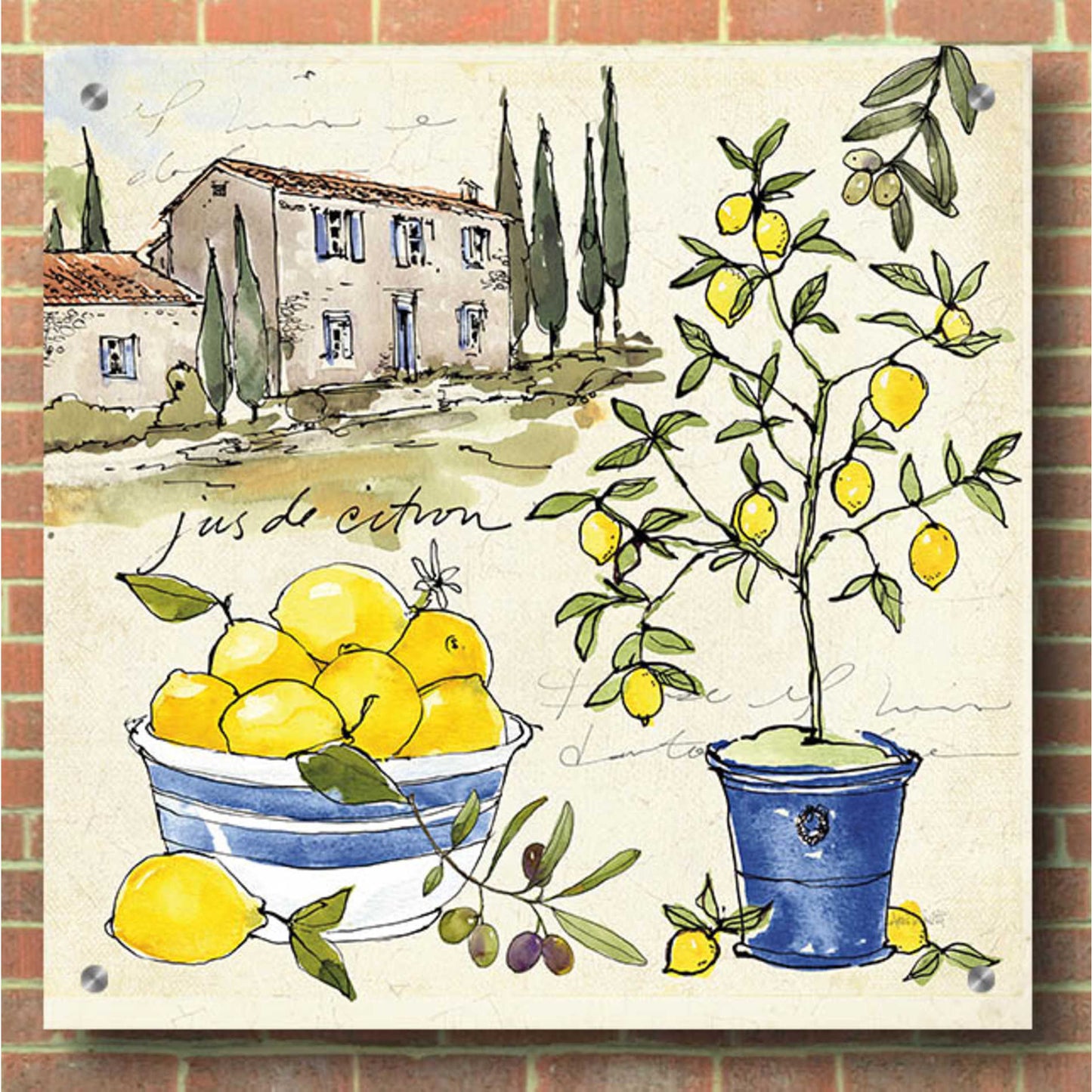 Epic Art 'Citron III' by Ann Tavoletti, Acrylic Glass Wall Art,36x36