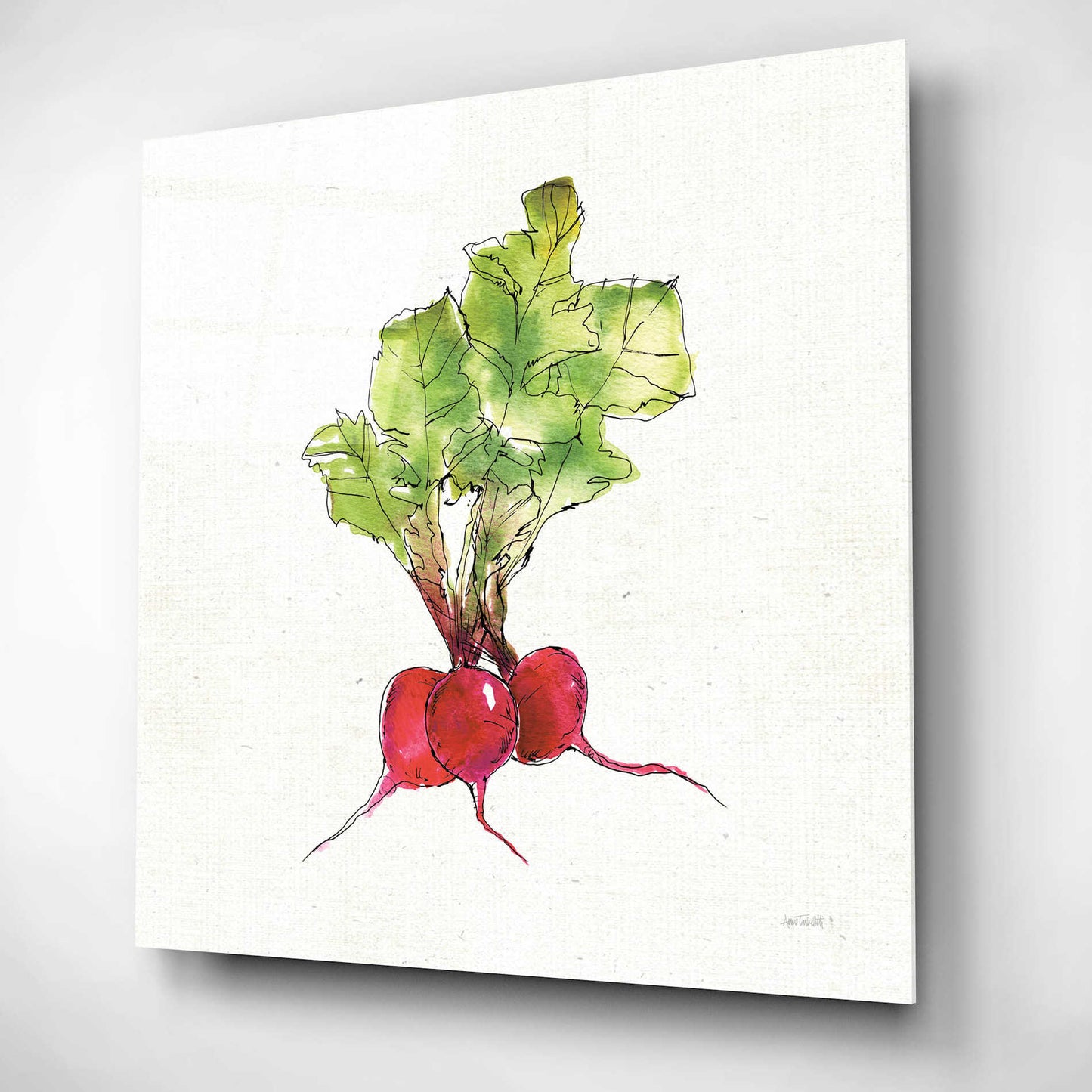 Epic Art 'Veggie Market II Radish' by Ann Tavoletti, Acrylic Glass Wall Art,12x12