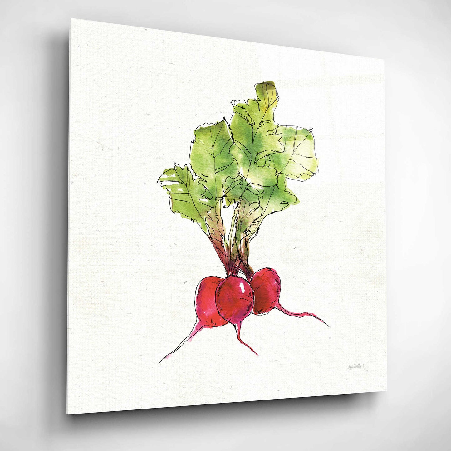 Epic Art 'Veggie Market II Radish' by Ann Tavoletti, Acrylic Glass Wall Art,12x12