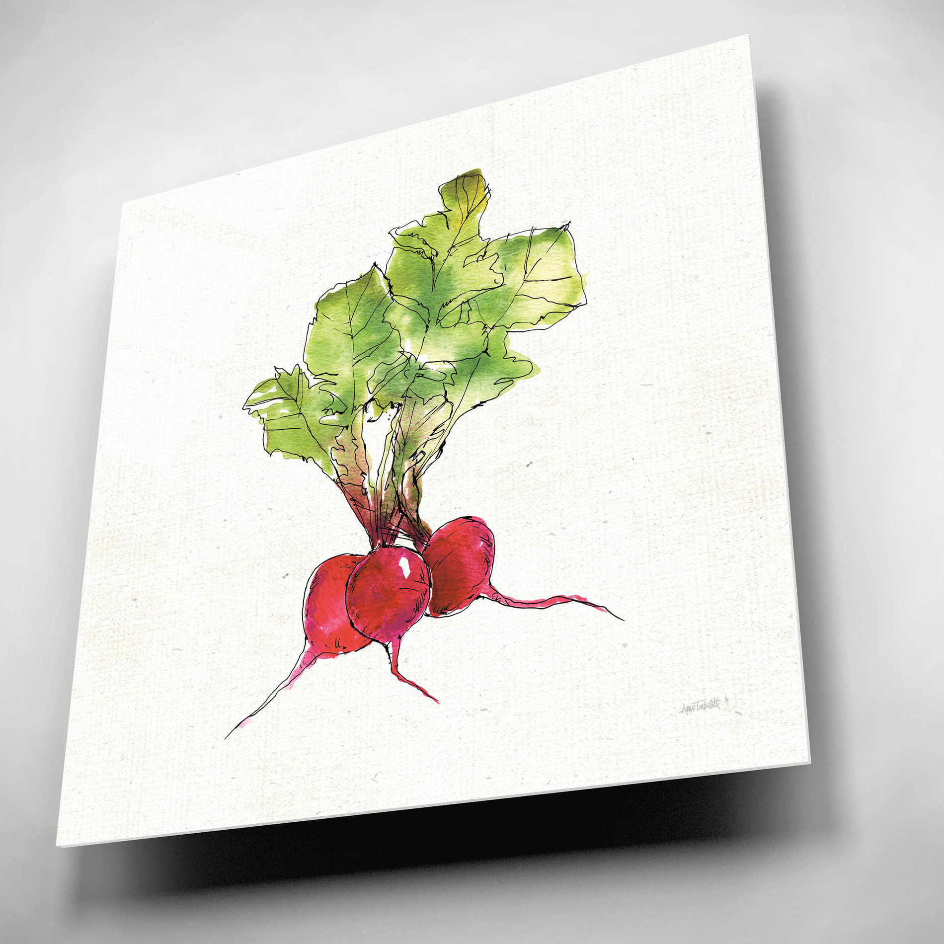 Epic Art 'Veggie Market II Radish' by Ann Tavoletti, Acrylic Glass Wall Art,12x12