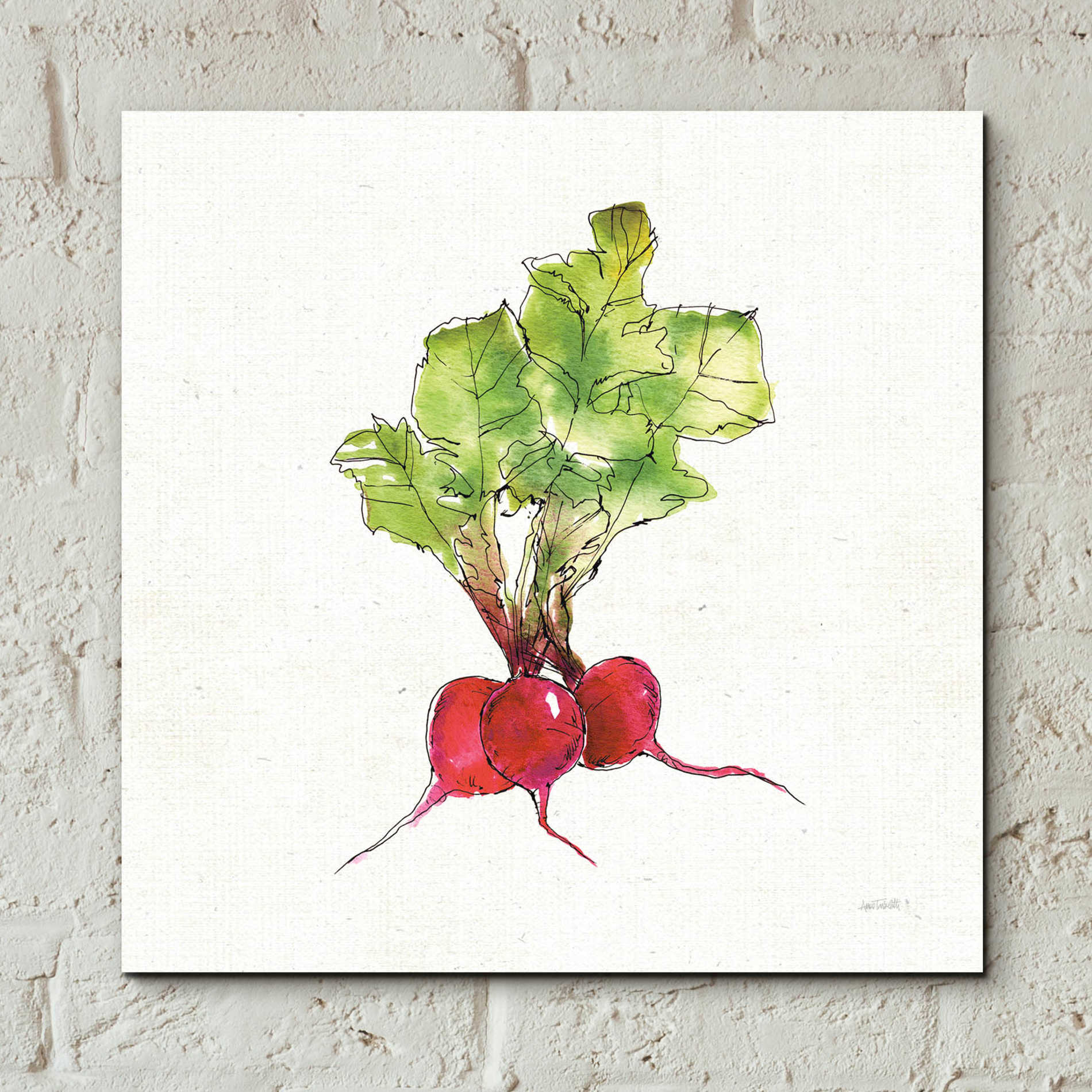 Epic Art 'Veggie Market II Radish' by Ann Tavoletti, Acrylic Glass Wall Art,12x12