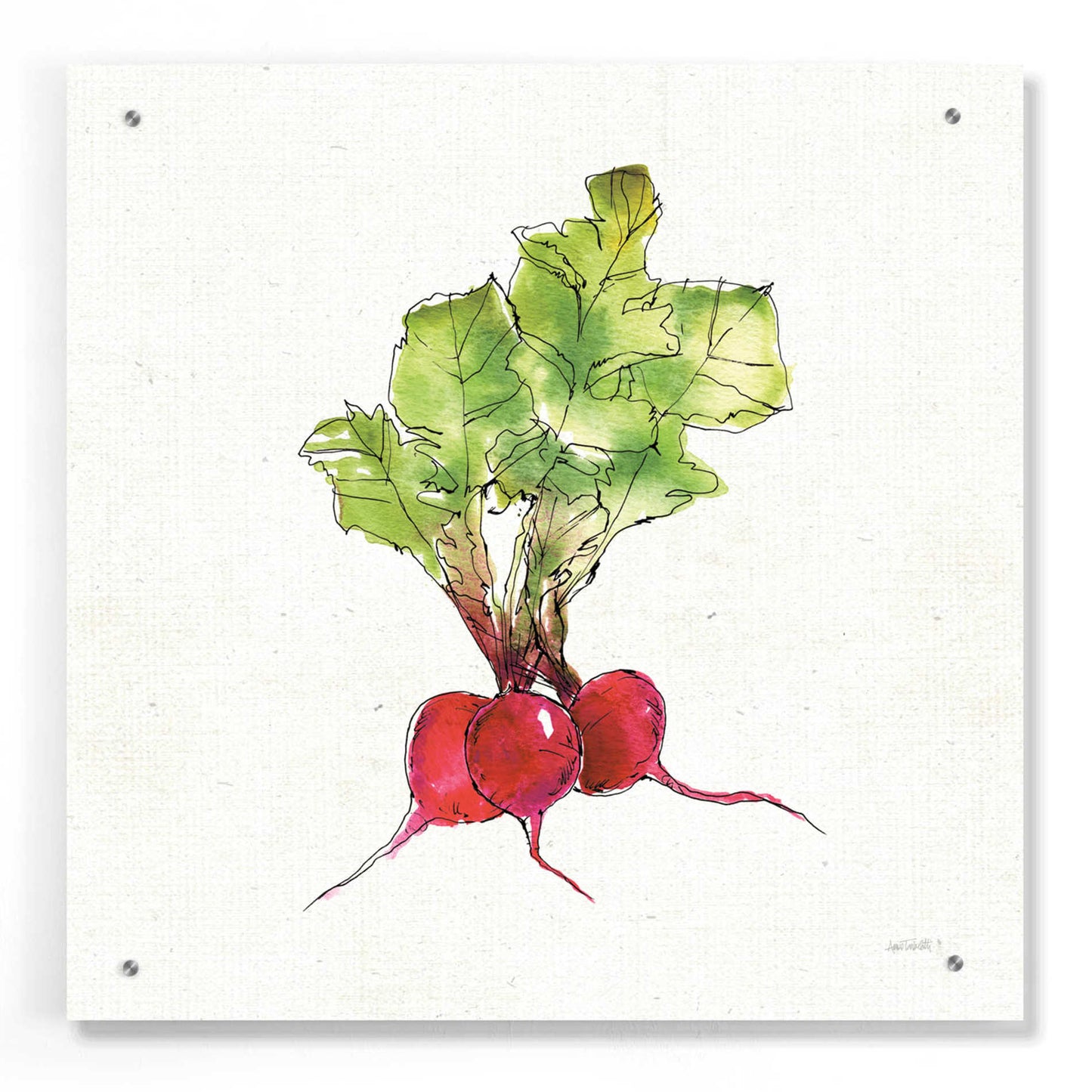 Epic Art 'Veggie Market II Radish' by Ann Tavoletti, Acrylic Glass Wall Art,24x24