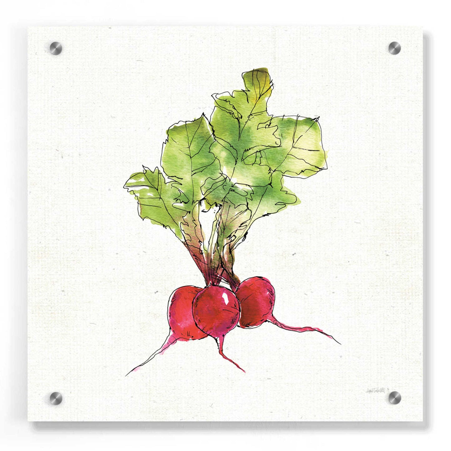 Epic Art 'Veggie Market II Radish' by Ann Tavoletti, Acrylic Glass Wall Art,36x36