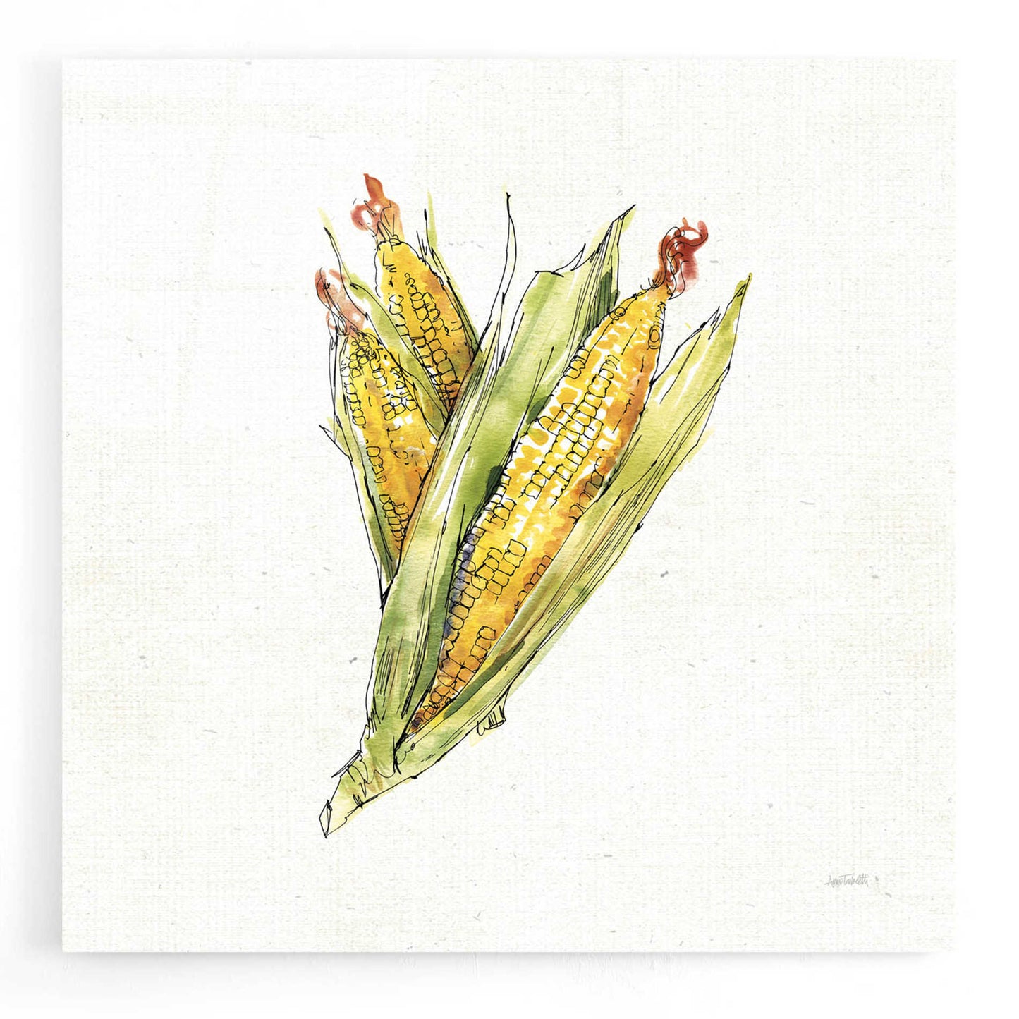 Epic Art 'Veggie Market III Corn' by Ann Tavoletti, Acrylic Glass Wall Art,12x12